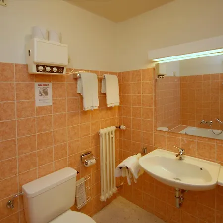 Gaestehaus Wildbach Gæstehus Mittelberg