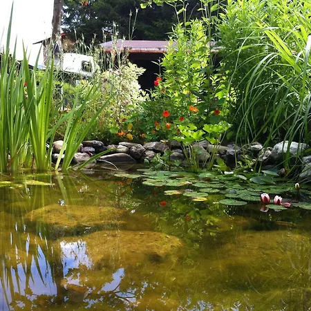 Gaestehaus Wildbach 3* Mittelberg