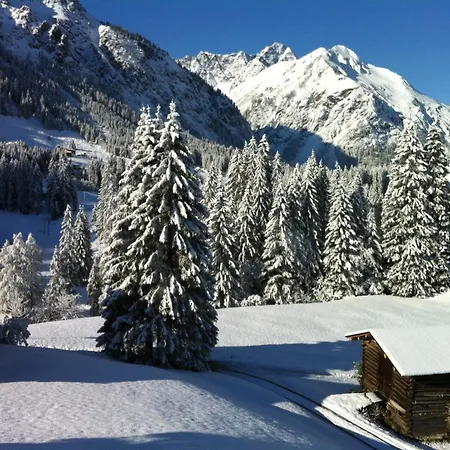 Guest house Gaestehaus Wildbach Mittelberg