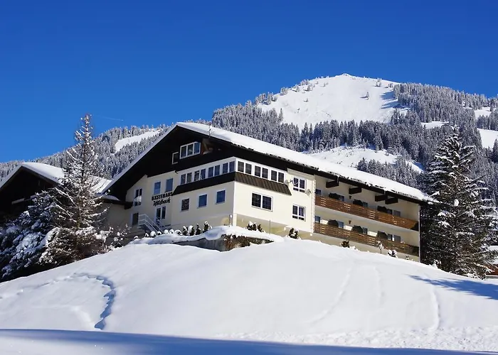 Guest house Gaestehaus Wildbach 3*
