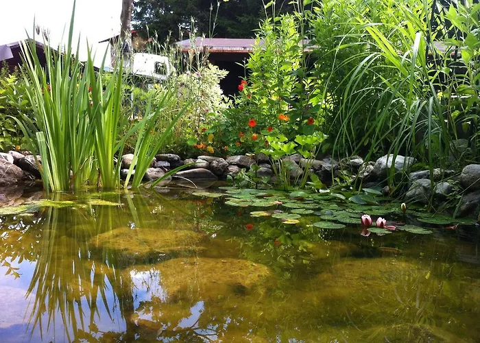 Gaestehaus Wildbach 3* Mittelberg