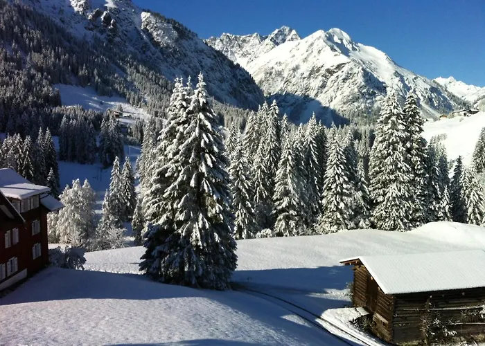 Guest house Gaestehaus Wildbach Mittelberg